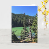 Devil's Lake, Oregon Kaart (Gele Bloem)