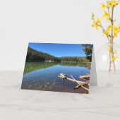 Devil's Lake, Oregon Kaart (Gele Bloem)