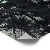 Devil's Lake, Oregon Poster (Hoek)