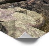 Devils Lake State Park Poster (Hoek)