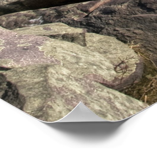 Devils Lake State Park Poster (Hoek)