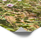 Devils Marbles Northern Territory Australia Poster (Hoek)