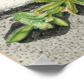 Devil's Paintborstel Poster (Hoek)