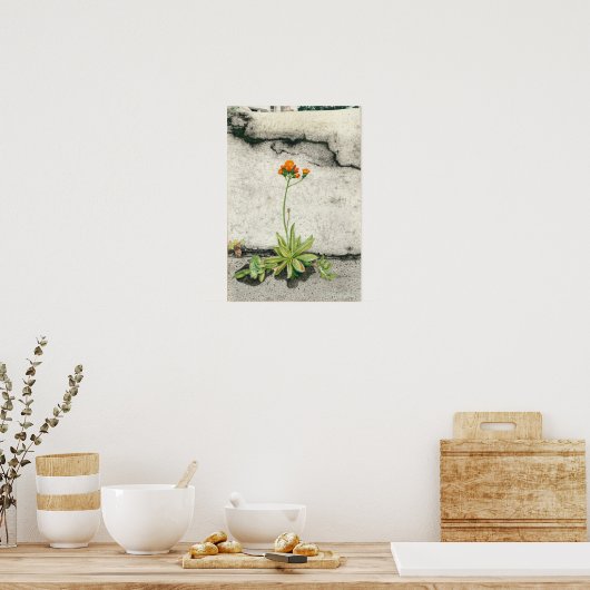 Devil's Paintborstel Poster (Keuken)