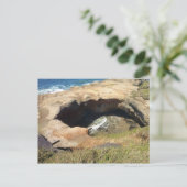 Devil's Punchbowl aan de kust van Oregon Briefkaart (Staand voorkant)