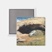 Devil's Punchbowl aan de kust van Oregon Magneet (Voorkant / Achterkant)