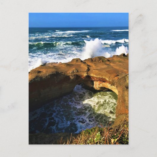 Devil's Punchbowl, Newport, Oregon Briefkaart (Voorkant)