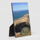 Devil's Punchbowl & Otter Rock, OR Fotoplaat (Zijkant)
