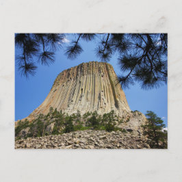 Devil's Tower, Devil's Tower National Monument (WY Briefkaart