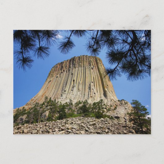 Devil's Tower, Devil's Tower National Monument (WY Briefkaart (Voorkant)