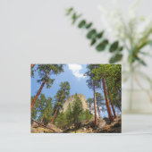 Devil's Tower, Devil's Tower National Monument (WY Briefkaart (Staand voorkant)