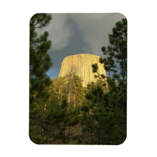 Devils Tower Magneet (Verticaal)