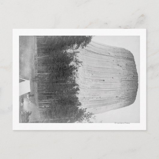 Devil's Tower met 4 mensen op de voorgrond Briefkaart (Voorkant)