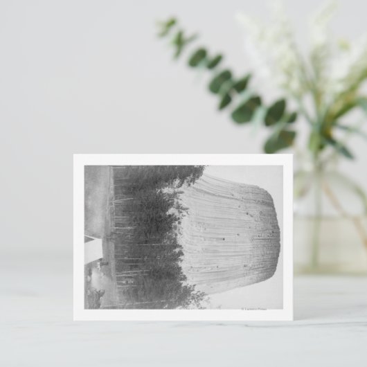 Devil's Tower met 4 mensen op de voorgrond Briefkaart (Staand voorkant)