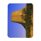 Devils Tower National Monument in Wyoming Magneet (Verticaal)