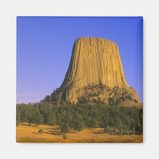 Devils Tower National Monument in Wyoming Magneet (Voorkant)