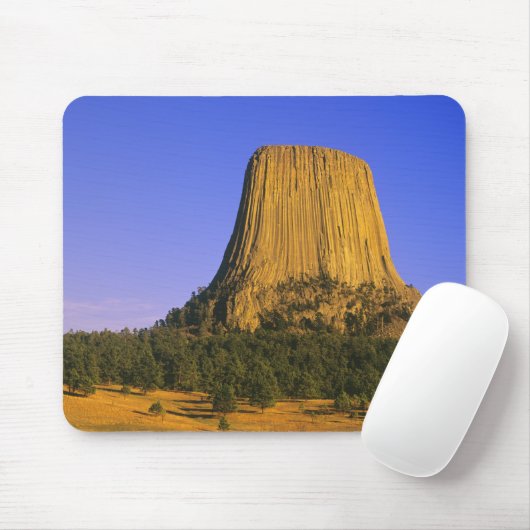 Devils Tower National Monument in Wyoming Muismat (Met muis)
