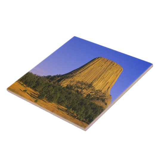 Devils Tower National Monument in Wyoming Tegeltje (Zijkant)