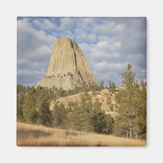 Devils Tower National Monument Magneet (Voorkant)
