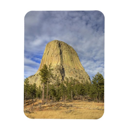 Devils Tower National Monument Magneet (Verticaal)