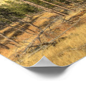 Devils Tower National Monument Poster (Hoek)