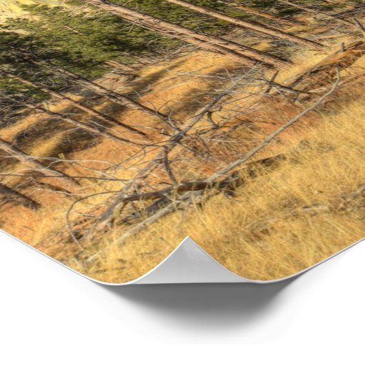 Devils Tower National Monument Poster (Hoek)