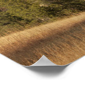 Devils Tower National Monument Poster (Hoek)