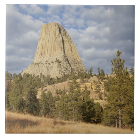 Devils Tower National Monument Tegeltje (Voorkant)