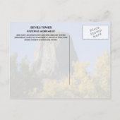 Devils Tower National Monument Trees Herfst geblad Briefkaart (Achterkant)