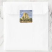 Devils Tower National Monument Vierkante Sticker (Tas)