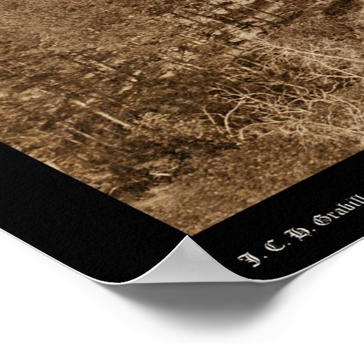 Devil's Tower or Beer Lodge WY 1888 Poster (Hoek)