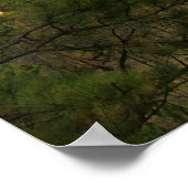 Devils Tower Poster (Hoek)