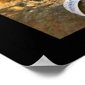 Devils Tower Poster (Hoek)