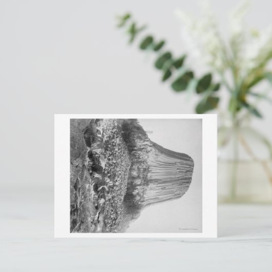 Devil's Tower van het Westen met Fallen Briefkaart (Staand voorkant)