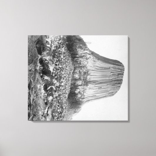 Devil's Tower van het Westen met Fallen Canvas Afdruk (Voorkant)