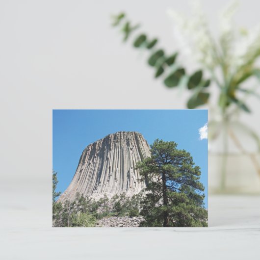 Devils Tower Wyoming Briefkaart (Staand voorkant)