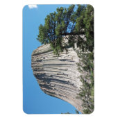 Devils Tower Wyoming Magneet (Verticaal)