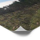 Devils Tower, Wyoming poster (Hoek)