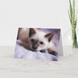 Deviously Leuke Kaart