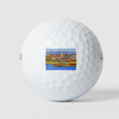 Devon9 Golfballen (Voorkant)