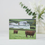 Devon, Engeland Briefkaart (Staand voorkant)