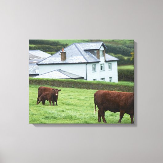 Devon, Engeland Canvas Afdruk (Voorkant)