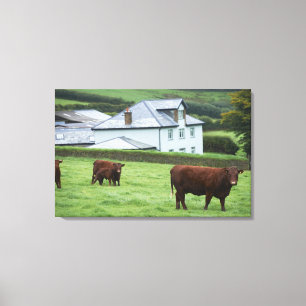 Devon, Engeland Canvas Afdruk