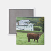 Devon, Engeland Magneet (Voorkant / Achterkant)