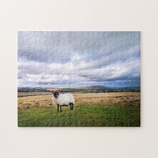 Devon England Landscape en Sheep Legpuzzel (Horizontaal)