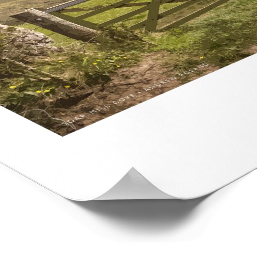 Devon Railway Poster (Hoek)