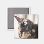 Devon Rex Cat Magnet (Voorkant / Achterkant)