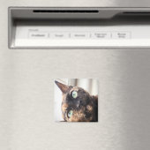 Devon Rex Cat Magnet (Insitu (Vaatwasser))