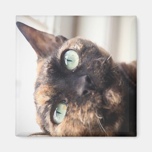 Devon Rex Cat Magnet (Voorkant)