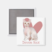 Devon Rex Cat Waterverf Kat Roze hart Magneet (Voorkant / Achterkant)